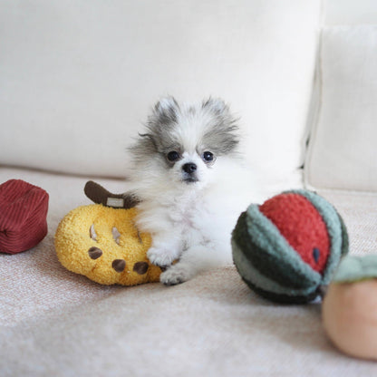 Ensemble de fruits pour chien d'enrichissement