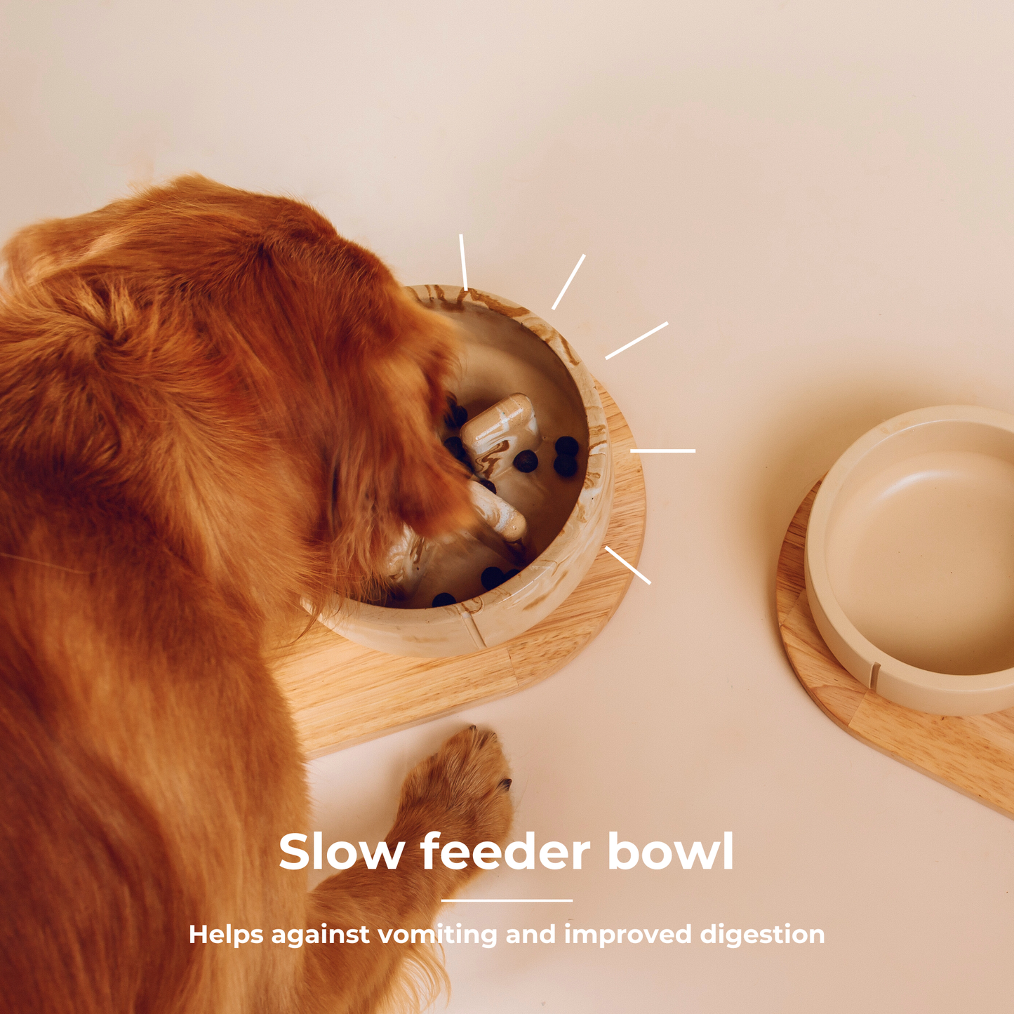 Pino Slow Feeder Bowl