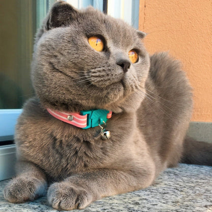 Collier de chat