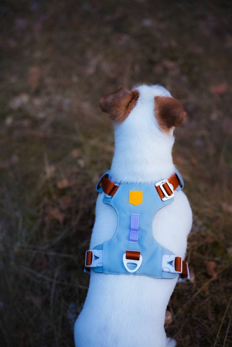 Alpha Dog Harness