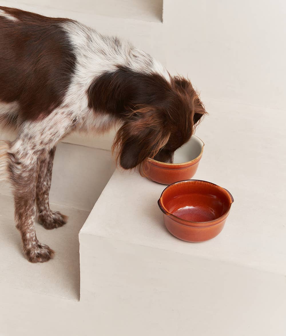 Cuenco para perros de cerámica Lisboa