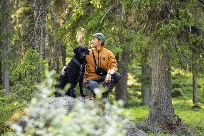 Harnais pour chien errant