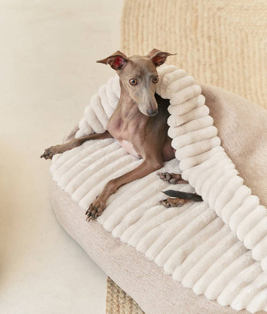 Maso Dog Bed with Hood Corduroy