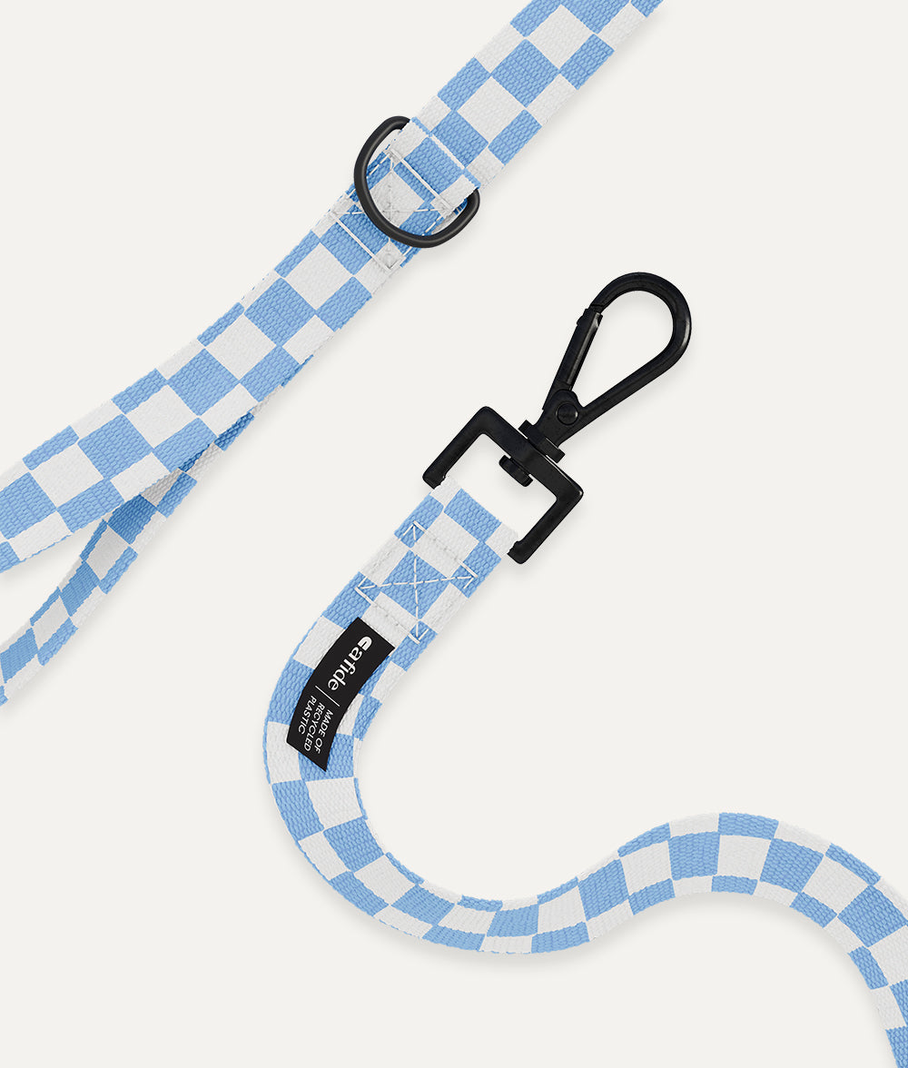 Juno Dog Leash