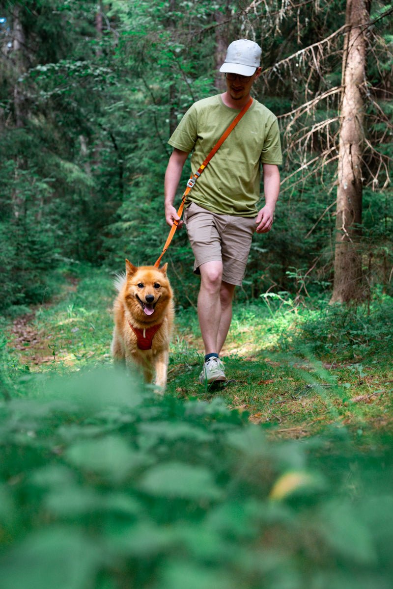 Adjustable Hands-Free Dog Leash