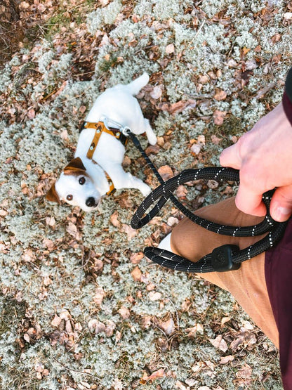 Rope Dog Leash