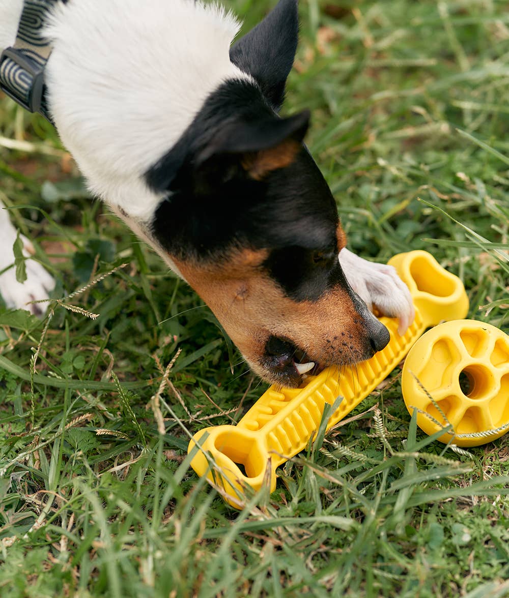 Juguete para perros pálido