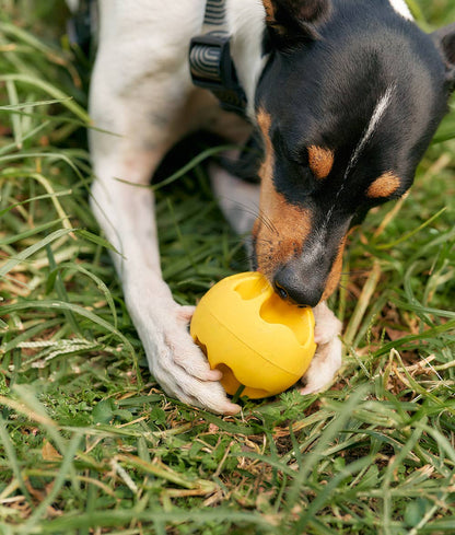 Rolo Dog Toy